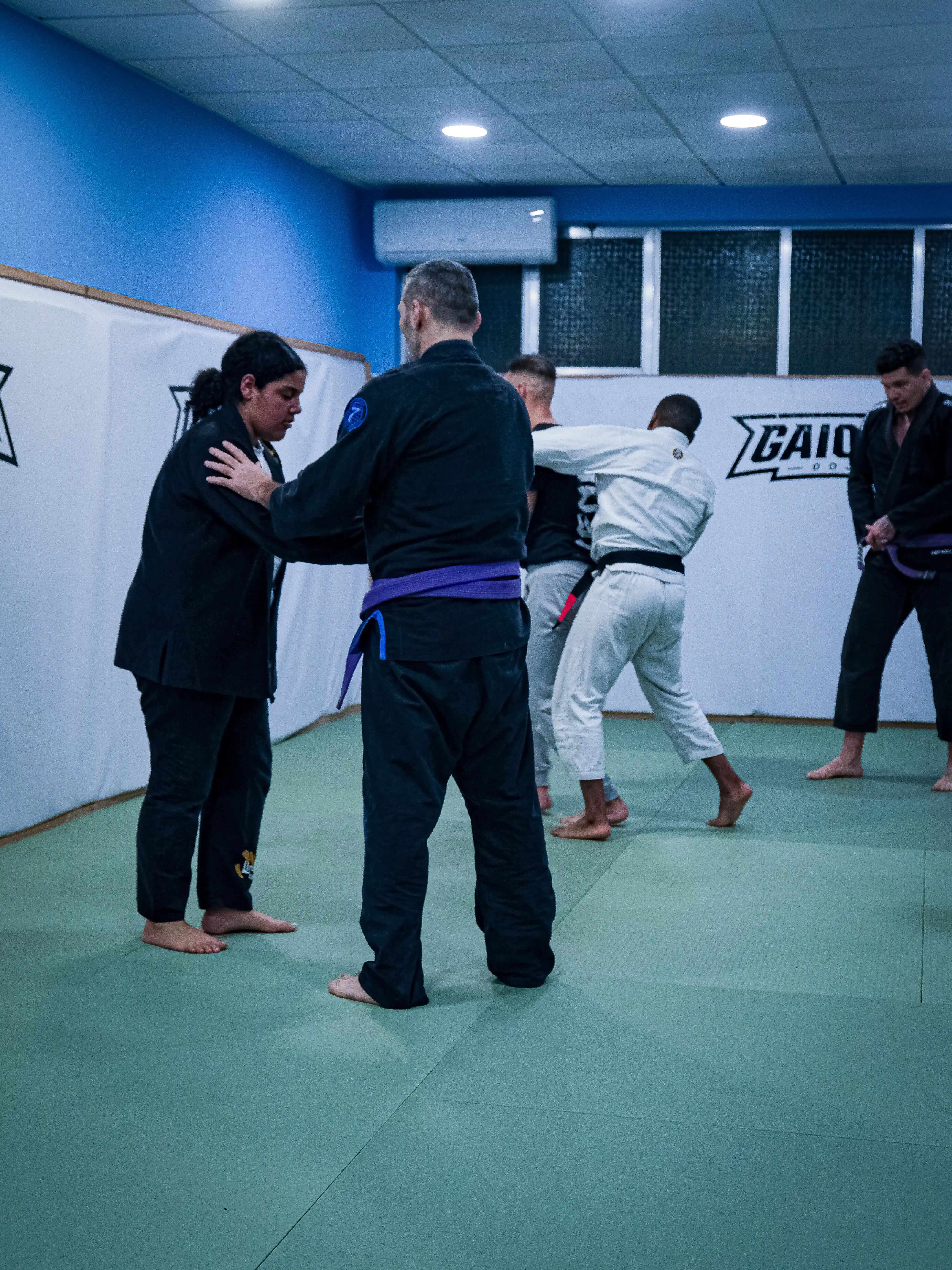 Espaço do GAIOLIN DOJO